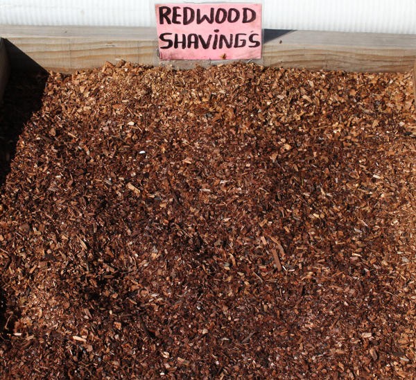 Redwood-shavngs-