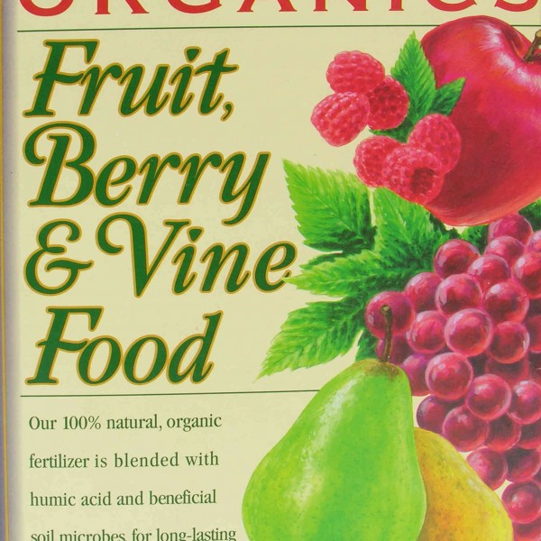 ebstone-fruit-berry-vine-food-FRONT