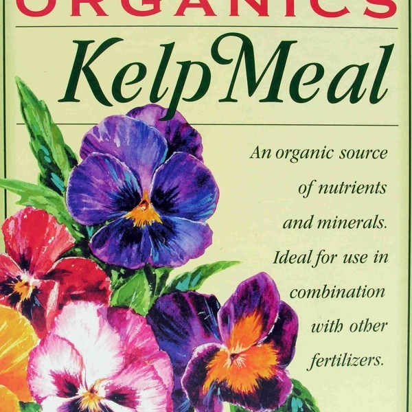 ebstone-kelp-meal-3.5lbs-box-FRONT