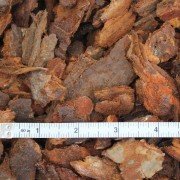 medium decorative bark close up