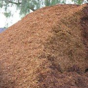 shredded walk on bark bulk mound