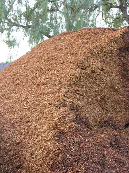 shredded walk on bark bulk mound