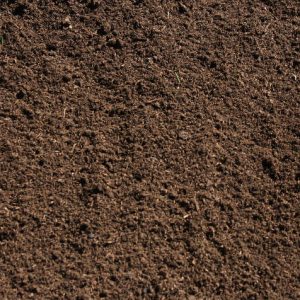 Premium Steer Manure for Soil Improvement & Moister Control ...