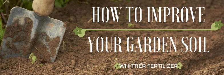 how to improve your garden soil