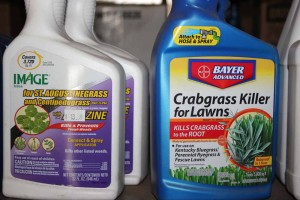 4424-image-herbicide-weed-killer-bayer-crabgrass-killer